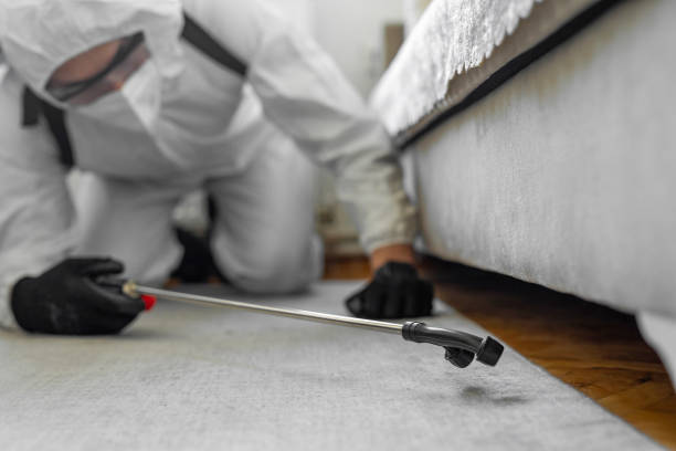 Professional Bed Bug Control technician working in Ontario, OR
