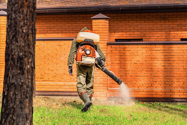 Trusted Rodent Control service in Ontario, OR - Nex Pest Control